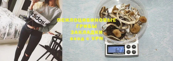герыч Арсеньев