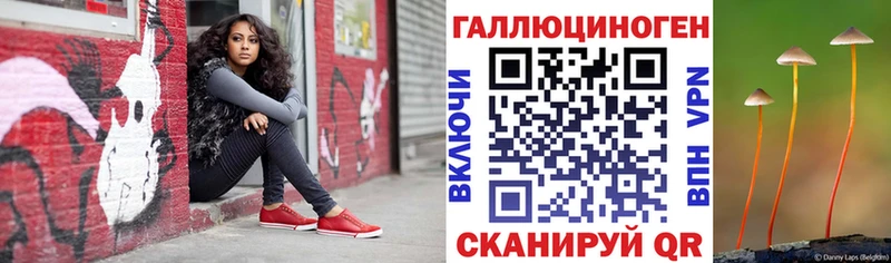 Купить  Сенгилей  Галлюциногенные грибы мицелий 